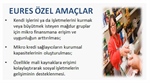 EURES Özel Amaçlar