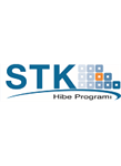 Katılım Öncesi Süreçte Sivil Toplumun Güçlendirilmesi: STK Hibe Programı