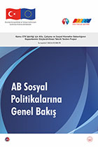 AB Sosyal Politikalarına Genel Bakış