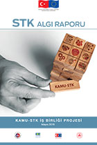 STK Algı Raporu