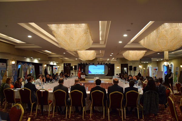 TWIN Interim Evaluation Workshop Ended